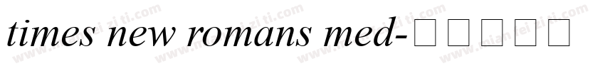 times new romans med字体转换